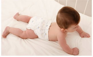 �Թ�Ӥ��ͼƬ4